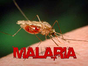 Prefeitura de Ecoporanga, por meio da Secretaria Municipal de Saúde inicia medida protetiva contra a Malária