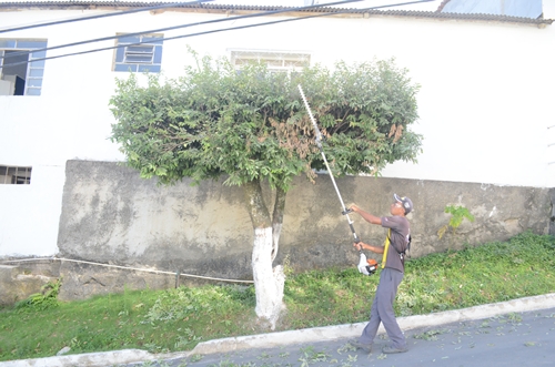 A Secretaria de Agricultura compra equipamentos para podar árvores do município.